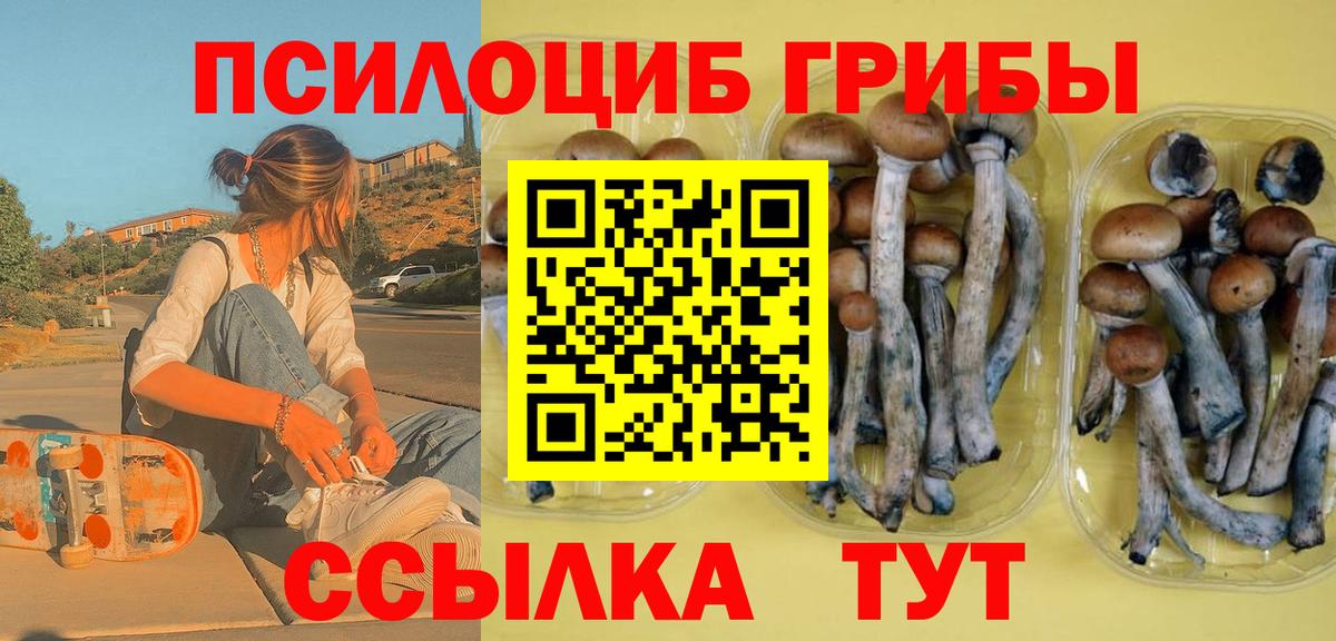Псилоцибиновые грибы ЛСД Рязань